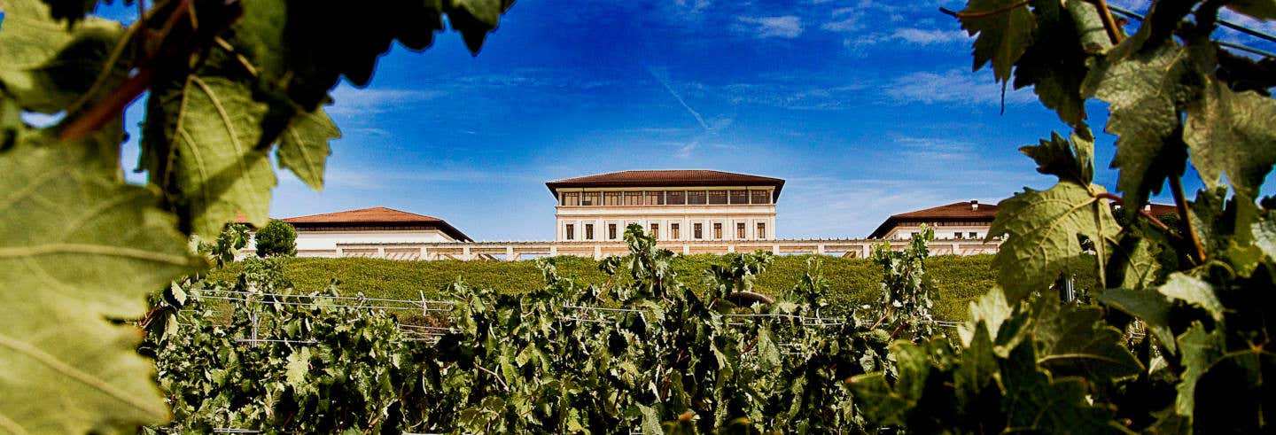 Visita a la bodega Rioja Vega desde Logroño Visita a la bodega Rioja Vega desde Logroño