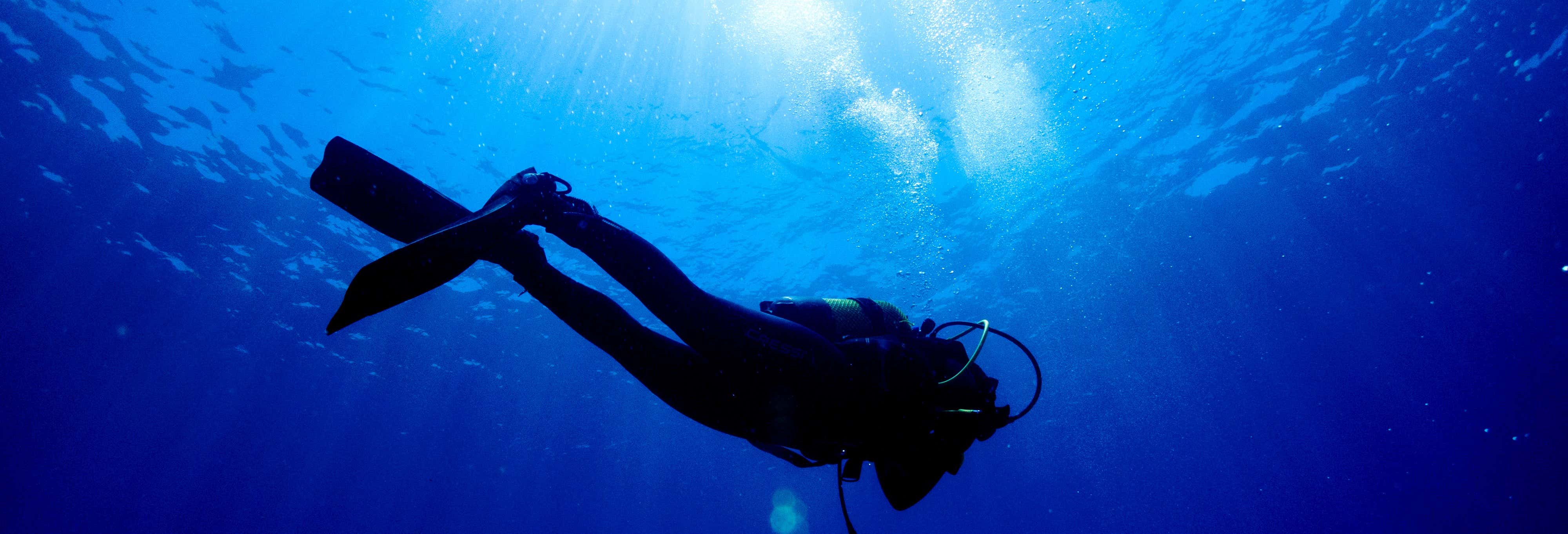 Curso Scuba Diver em Los Abrigos