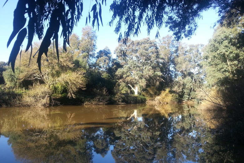 Naturaleza en el río Palmones