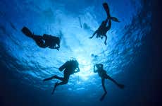 Immersione per principianti a Los Cristianos