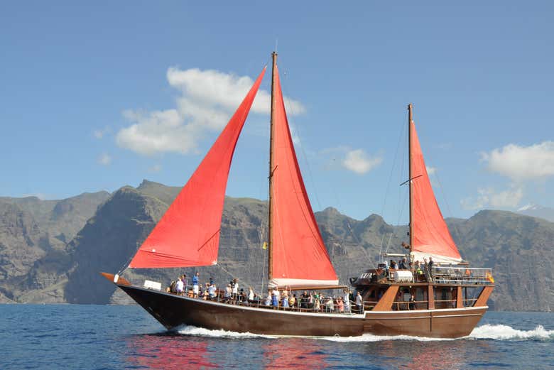 Paseo en goleta con avistamiento de cetáceos y comida, Los Cristianos