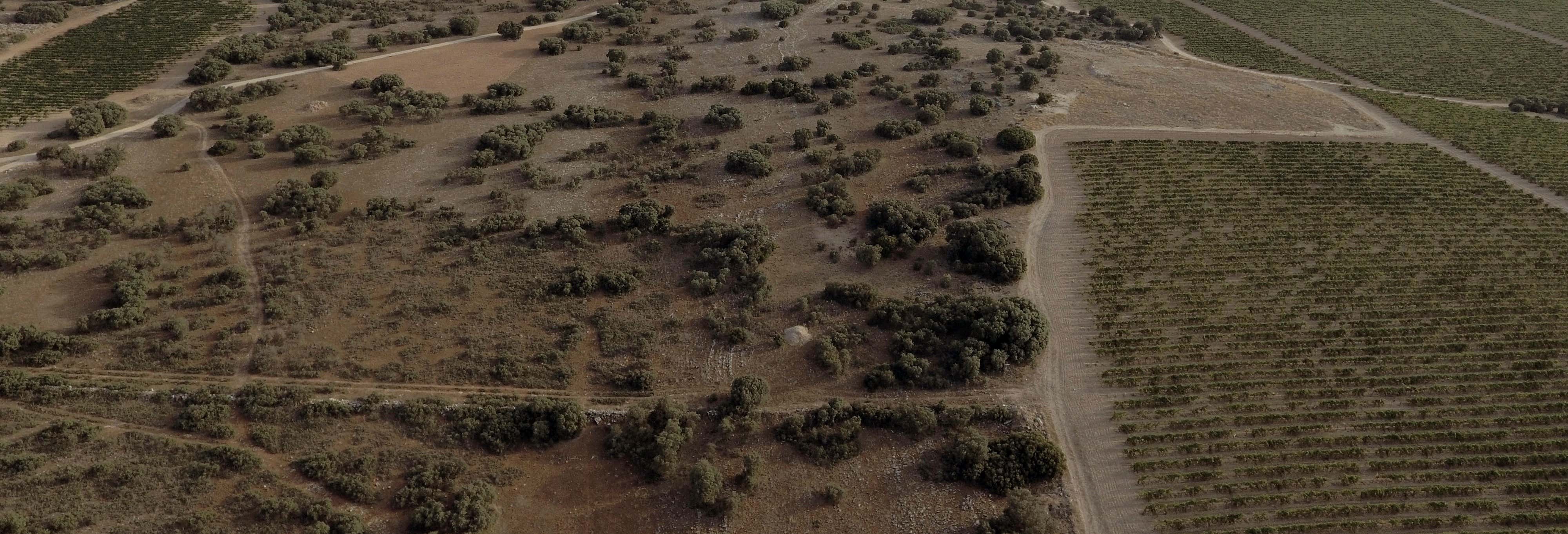 Activities, Guided Tours and Day Trips in Los Hinojosos