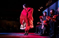 Flamenco Show in the Villa Rosa Tablao