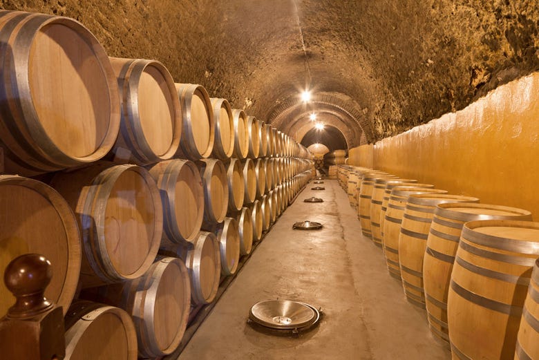 A traditional winery in Ribera del Duero