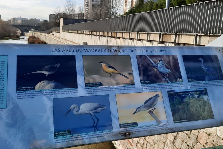 Carteles informativos de la avifauna de Madrid Río