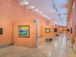 Expositions in the Thyssen Museum