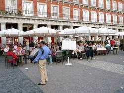 Plaza Mayor, acordeonista