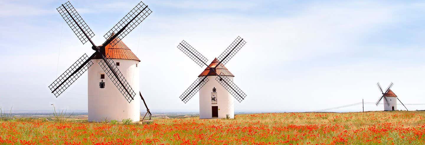 Tour de Don Quijote por La Mancha