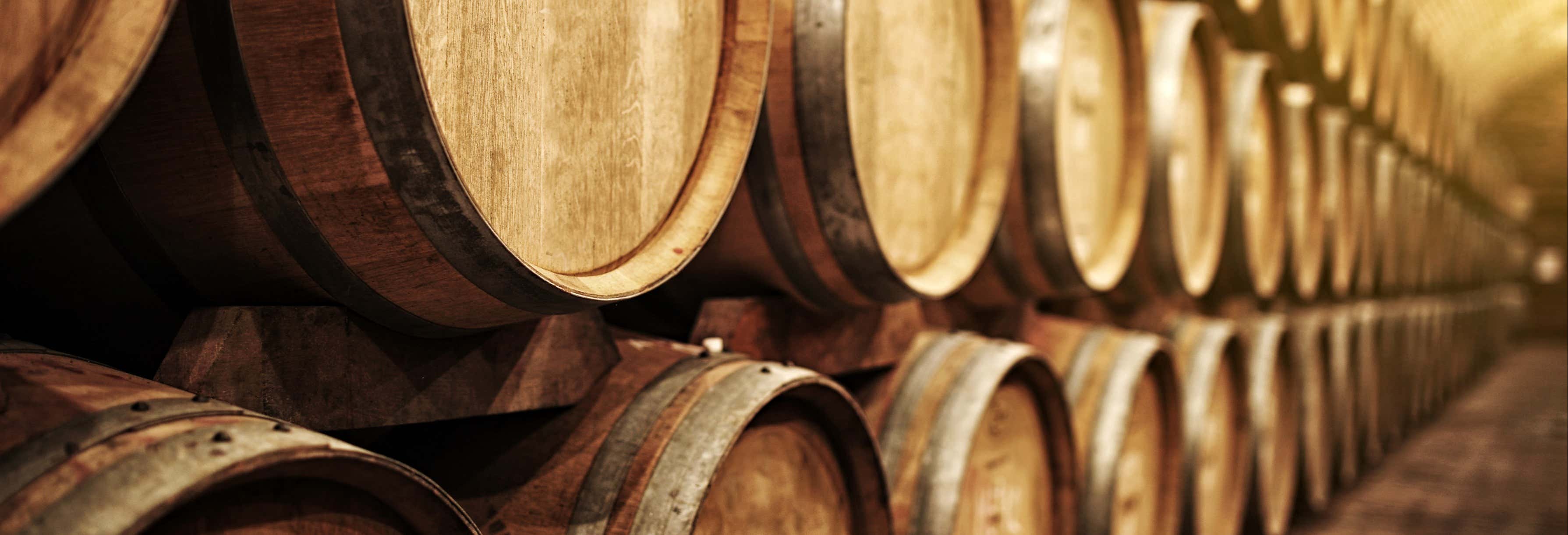 Tour del vino della Mancia