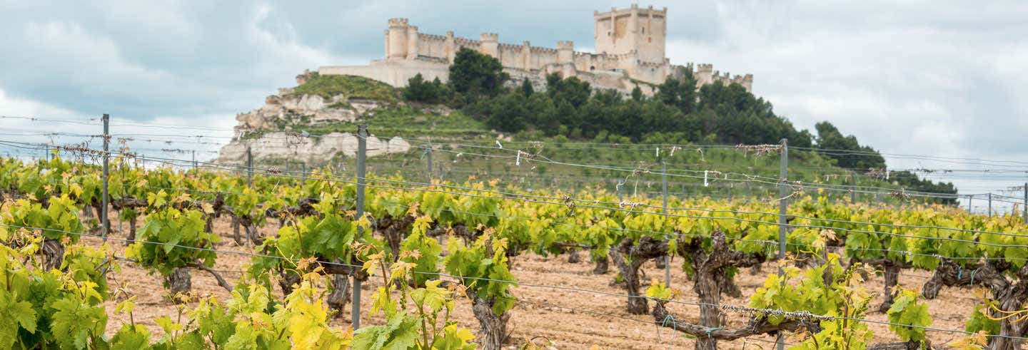 Tour de vinos y castillos por la Ribera del Duero