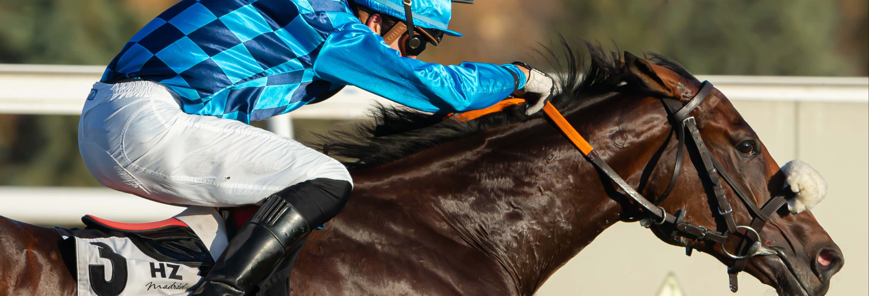 Visita guiada por el hipódromo de la Zarzuela