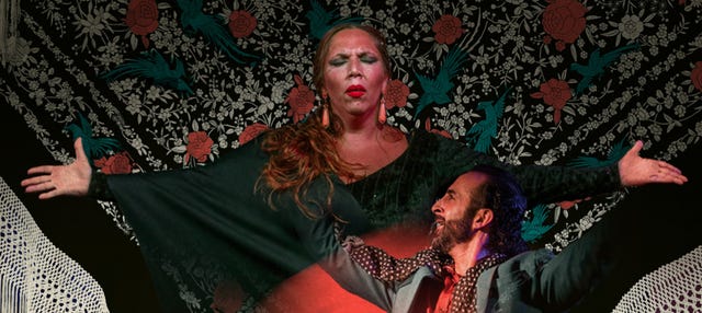Espectáculo en el Tablao Flamenco Alegría