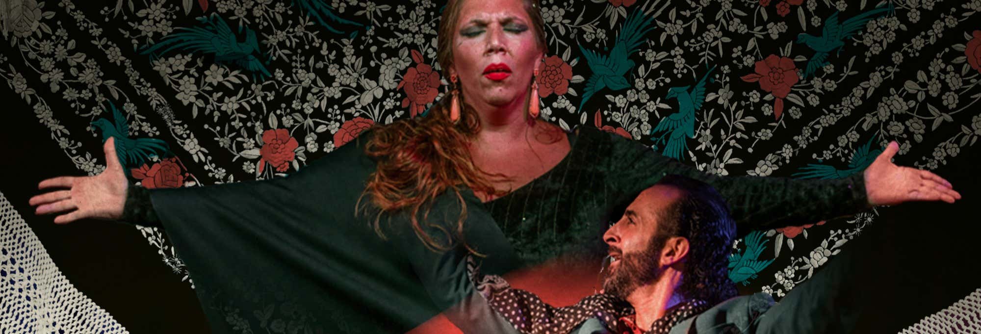 Espectáculo en el Tablao Flamenco Alegría