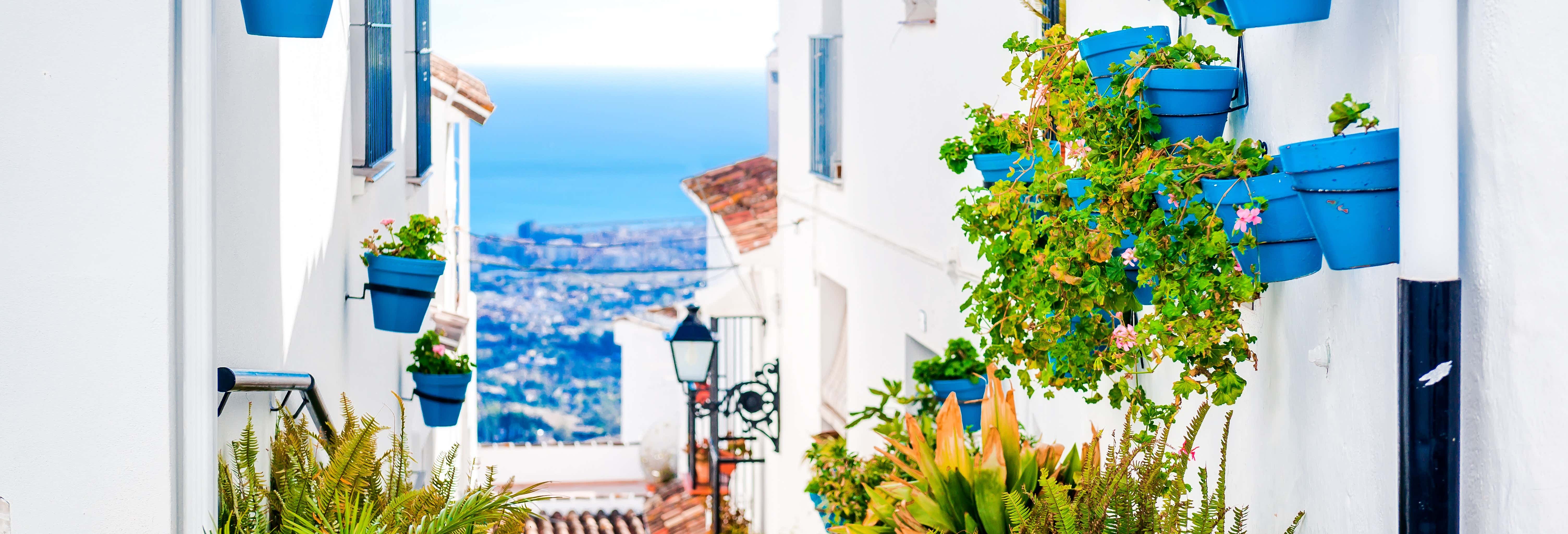 Excursión a Marbella y Mijas desde Málaga