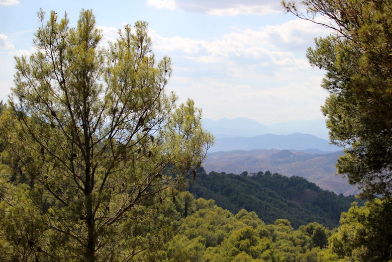 Ruta de senderismo por los Montes de Málaga