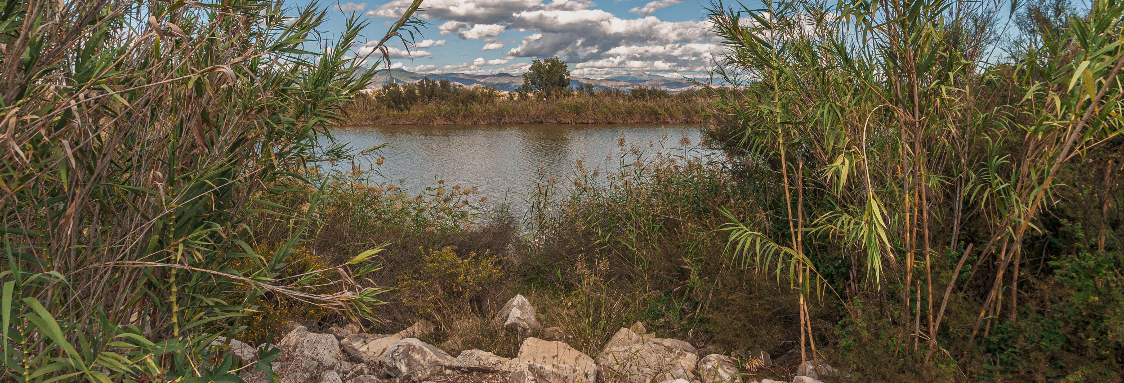 Senderismo por la desembocadura del río Guadalhorce