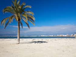 Playa de El Arenal