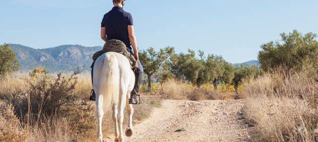 Passeio a cavalo por El Salobre