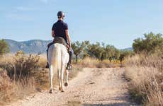Paseo a caballo por El Salobre