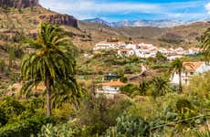 Passeio de camelo pelo Valle de las Mil Palmeras