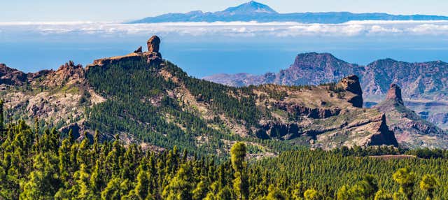 Gran Canaria Total Tour