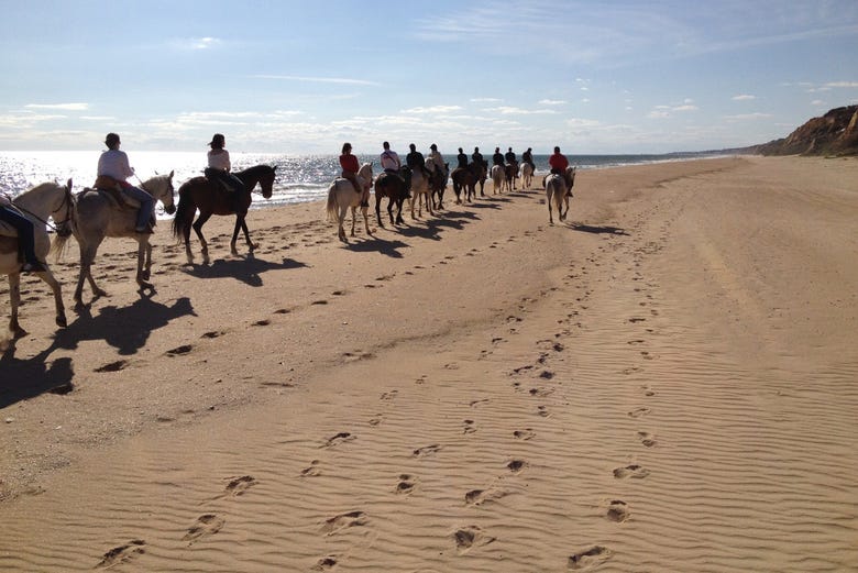 Horseriding through the Doñana National Park