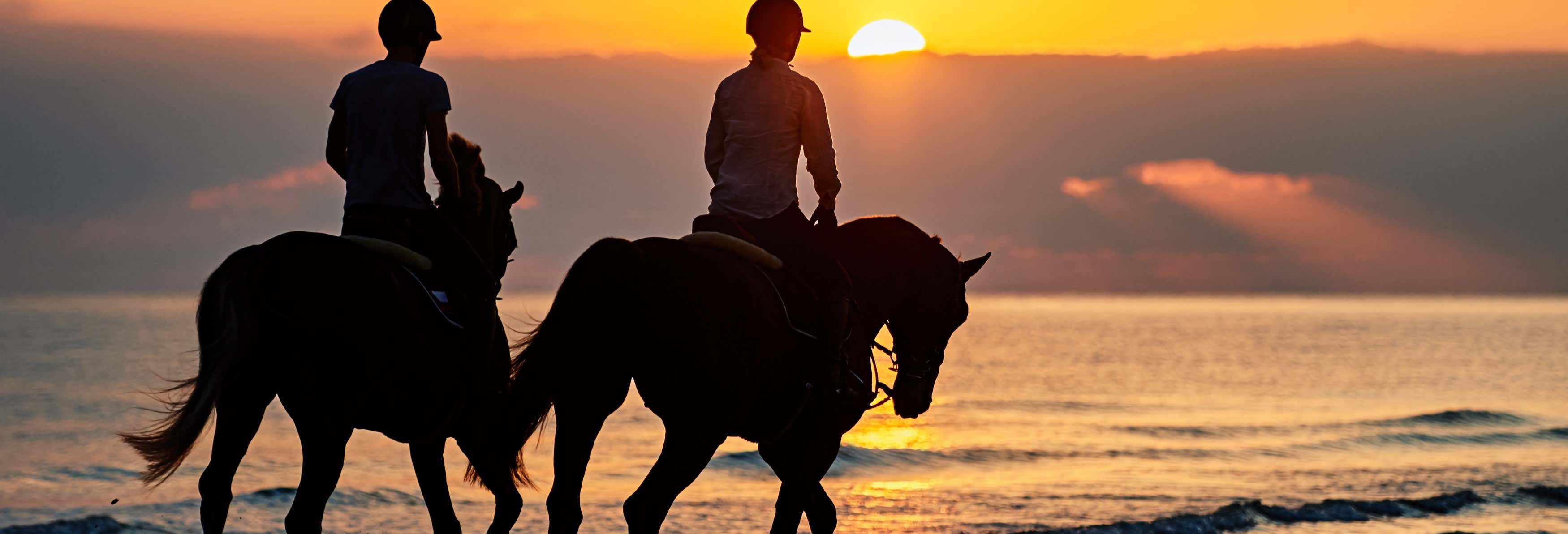 Paseo a caballo al atardecer por Doñana desde Mazagón Paseo a caballo al atardecer por Doñana desde Mazagón