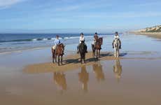 Doñana National Park Horse Riding Tour