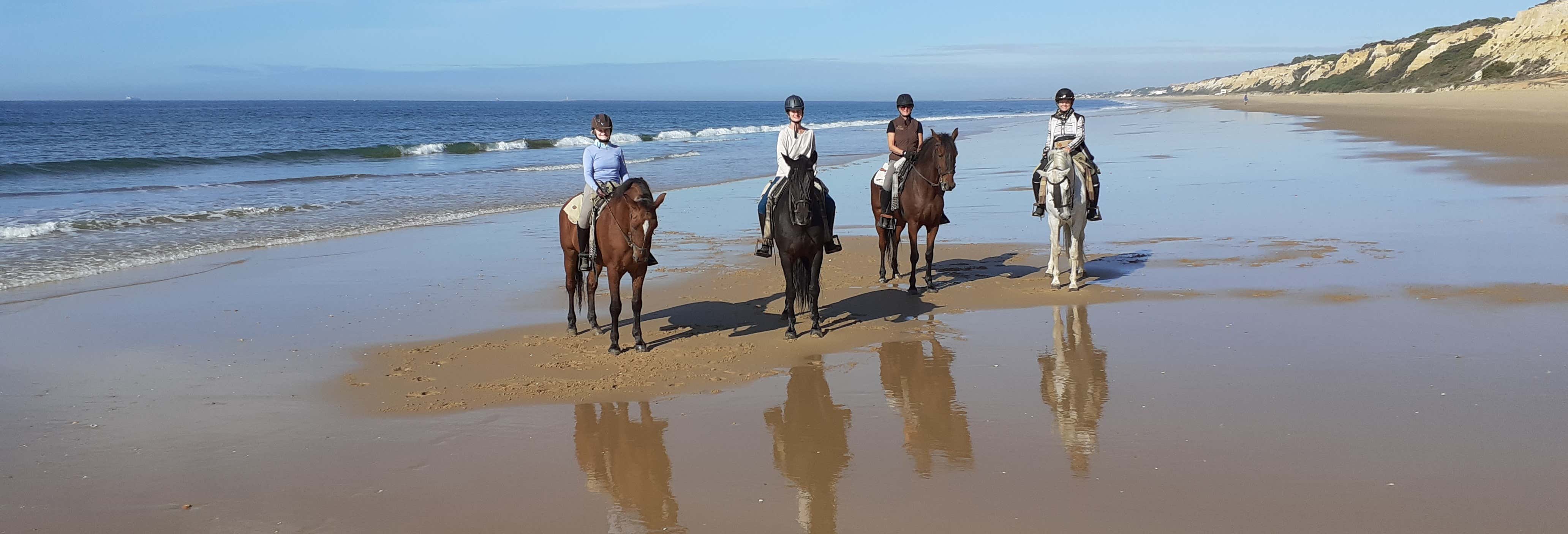 Paseo a caballo por Doñana desde Mazagón Paseo a caballo por Doñana desde Mazagón
