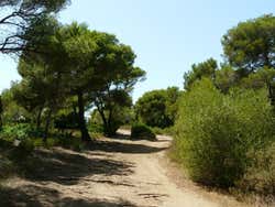 A caminho da Cala Macarella