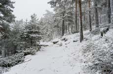 Paseo con raquetas de nieve por la Sierra de Guadarrama