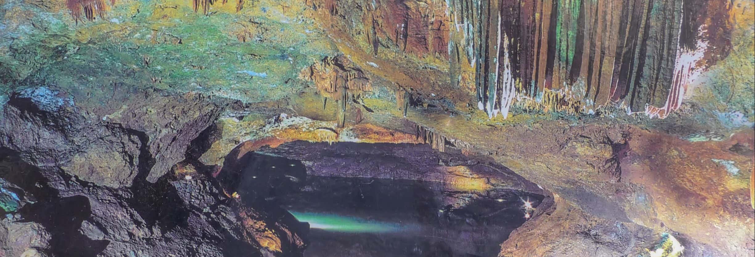 Excursión a las cuevas de San José desde Oropesa del Mar Excursión a las cuevas de San José desde Oropesa del Mar