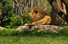 Valencia and Bioparc Day Trip