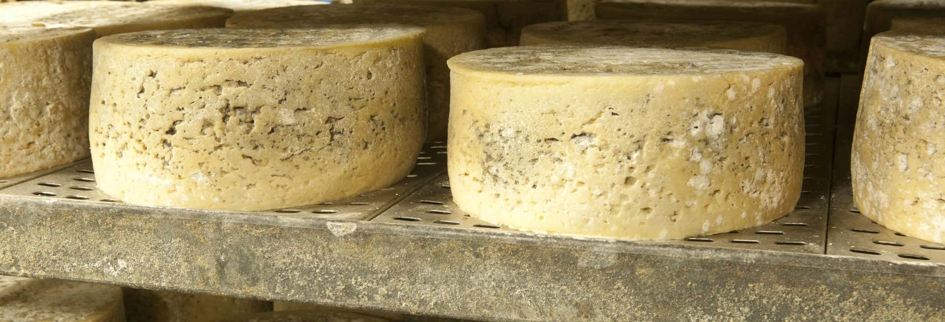 Tour do queijo de Cabrales