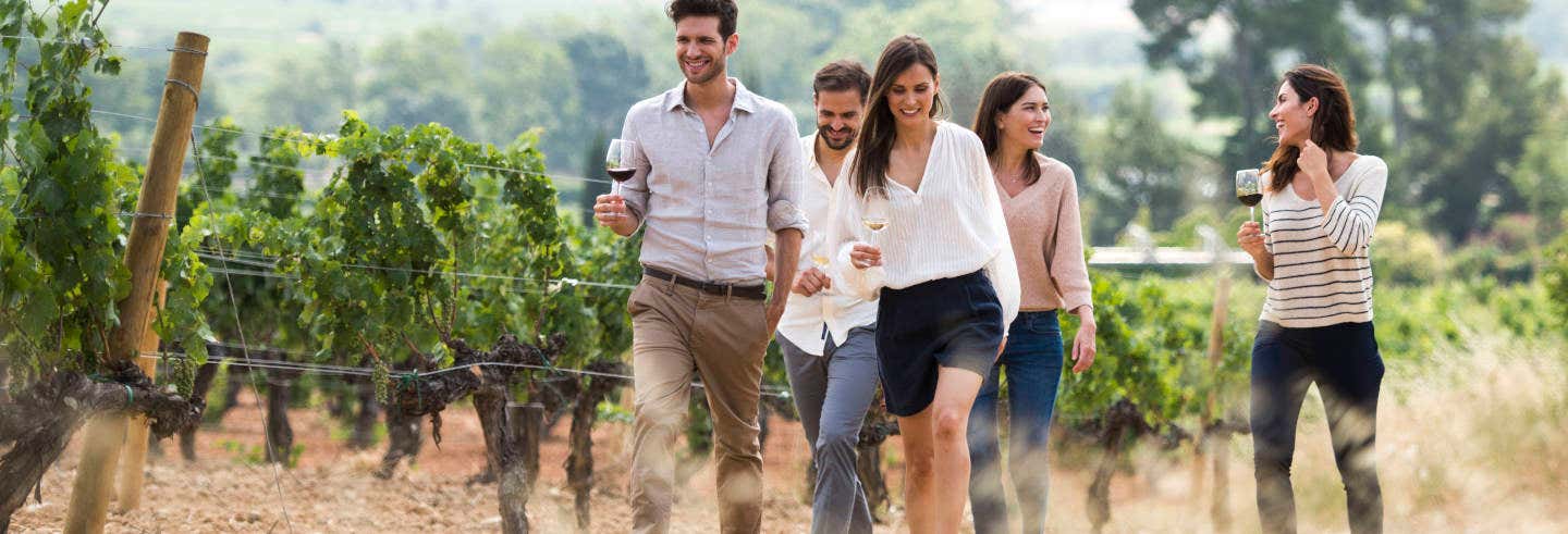 Visita a las bodegas Familia Torres