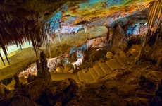 Excursão às cavernas do Drach e dels Hams + Porto Cristo