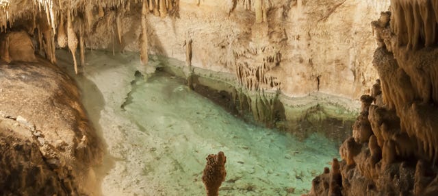 Excursión a las cuevas del Drach de día completo desde el sur de Mallorca