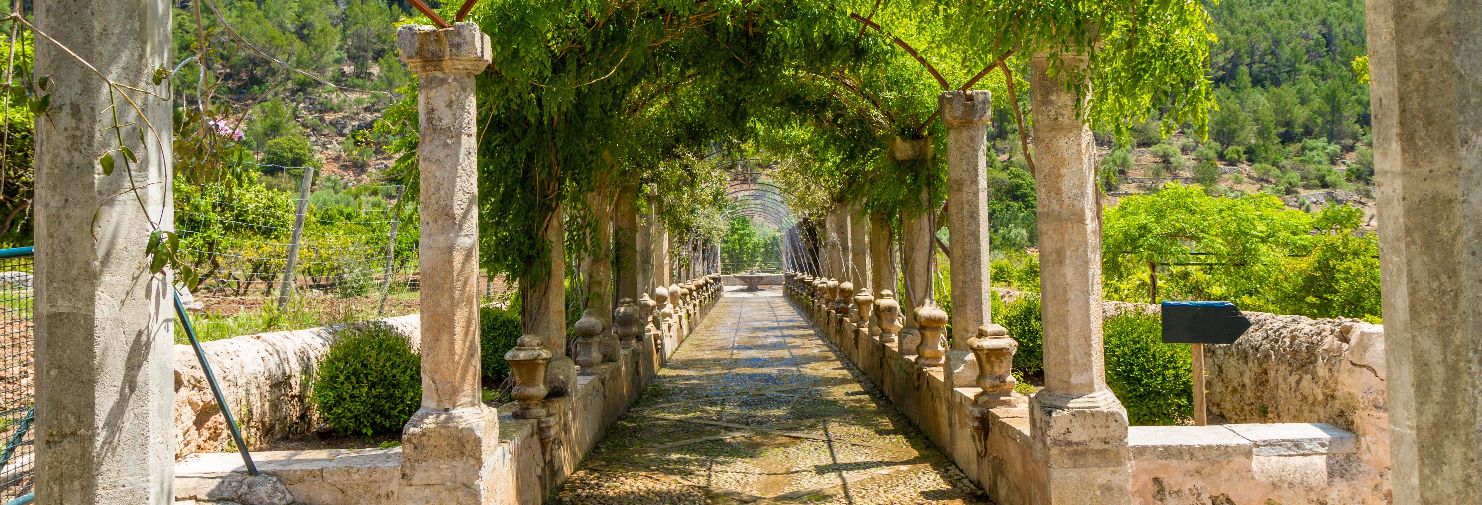 Excursão aos Jardins de Alfabia saindo de Palma