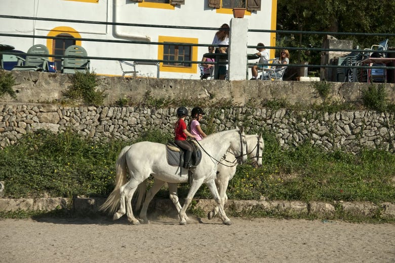 Horseback riding in Randa