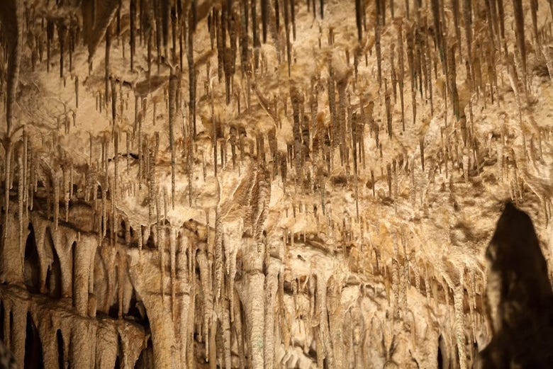 Cavernas do Drach