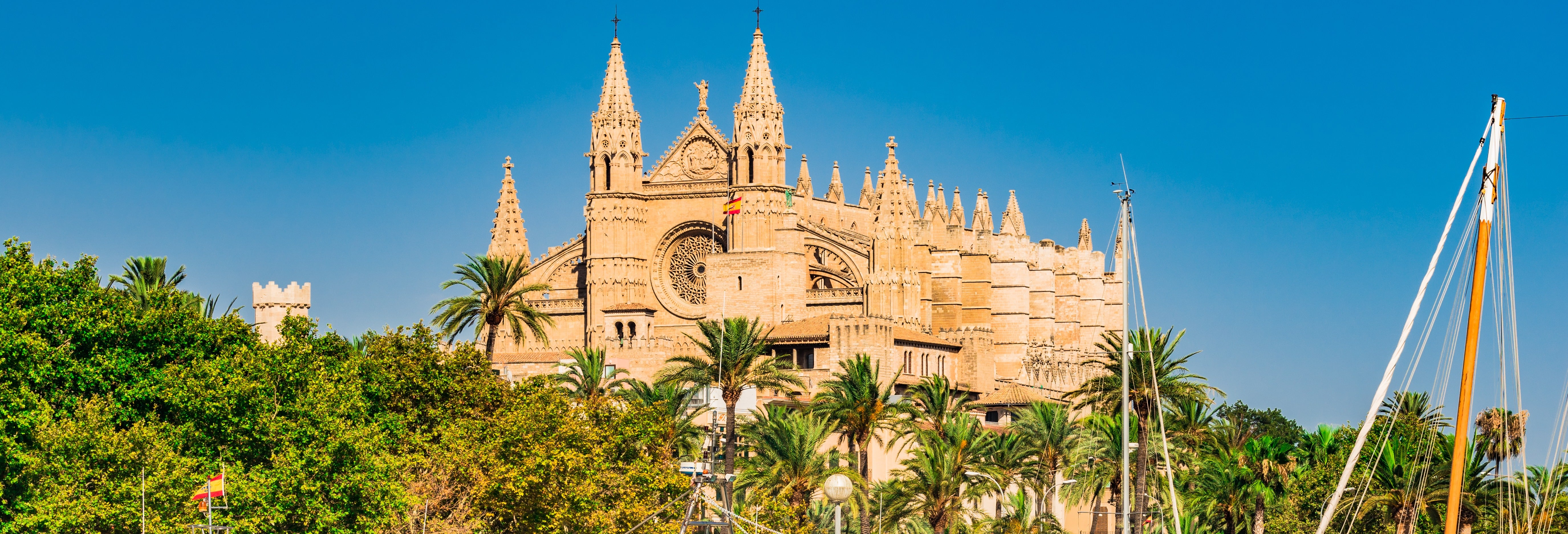 Tour por Palma e sua catedral + Valldemossa