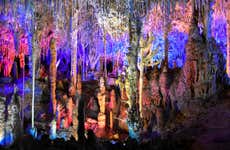 Visita guiada pelas cavernas dels Hams