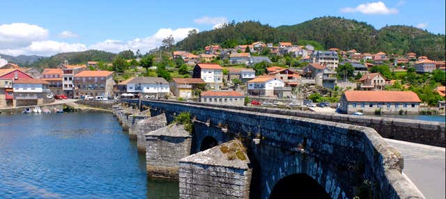 Tour por Pontevedra + Comida galega