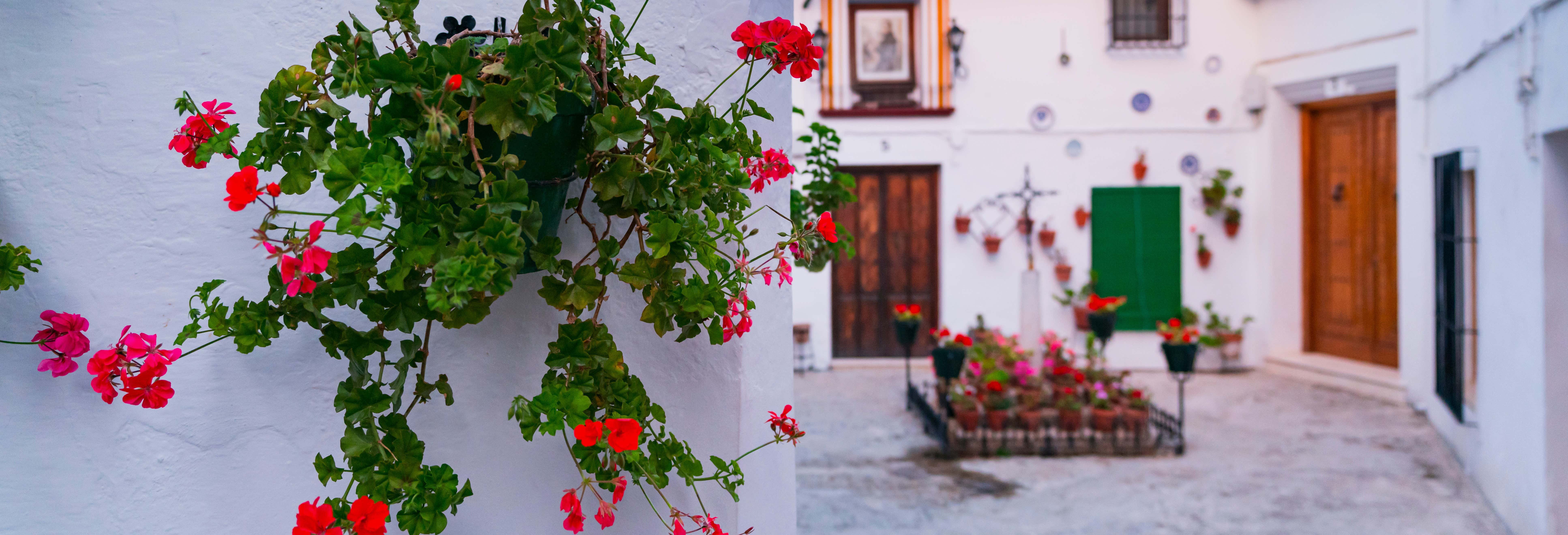 Visita guiada por Priego de Córdoba