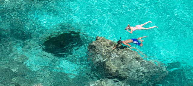 Snorkeling dans la Réserve Marine du nord de Minorque depuis Puerto Addaya