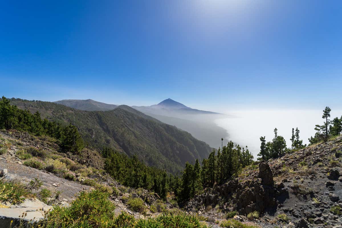 Excursión al Teide y La Orotava para cruceros desde Tenerife