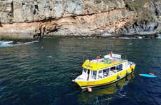 Passeio de barco por Puerto de Mogán + Snorkel