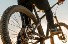 Tour en bicicleta por las marismas del Odiel