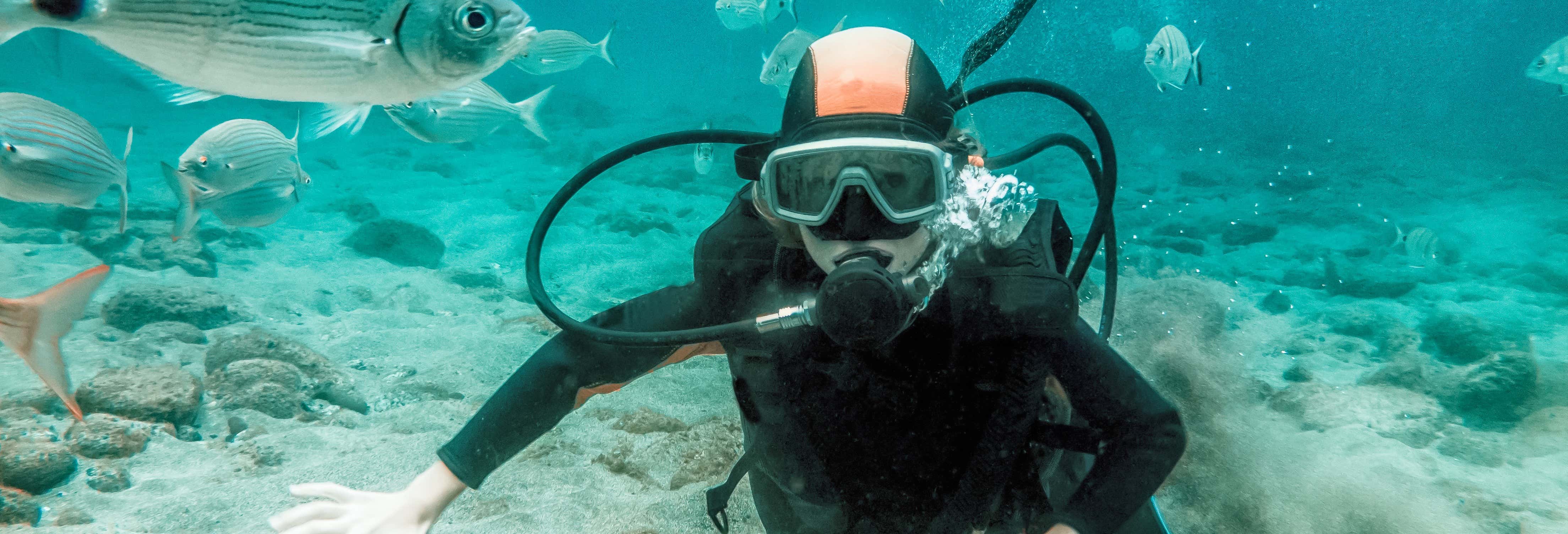Curso de buceo PADI Open Water en Radazul