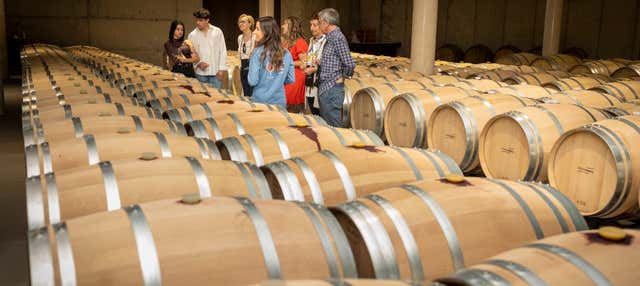 Visita a la bodega Sierra Norte